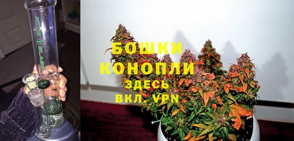 дживик Козловка