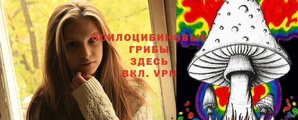 дживик Козловка