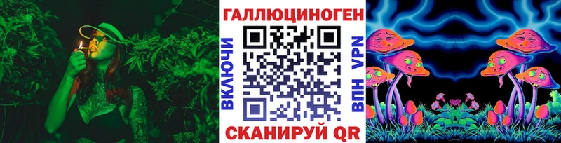 Псилоцибиновые грибы мицелий Купить где Ельня